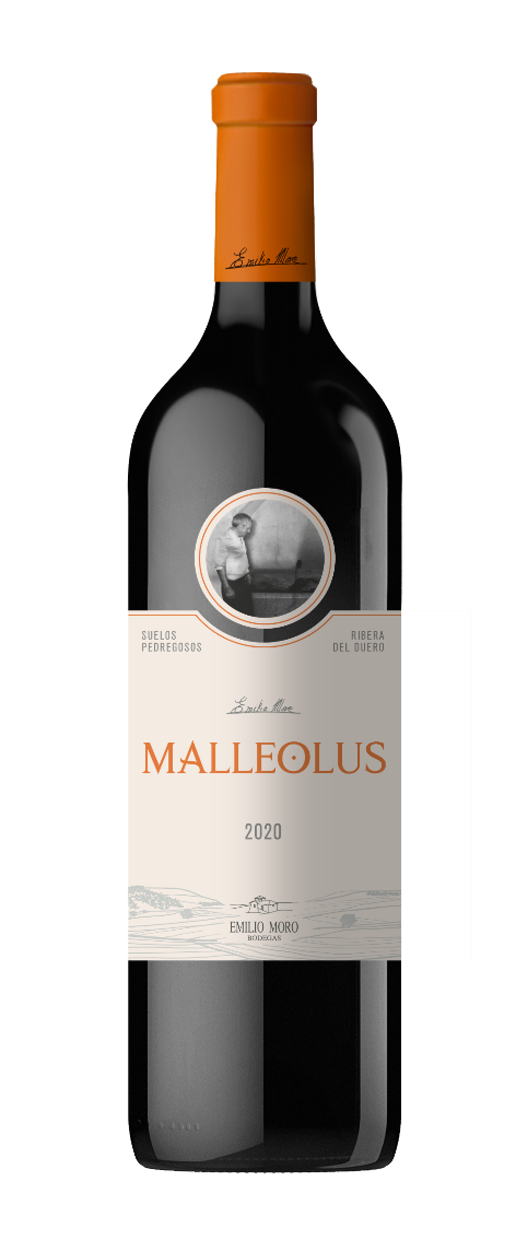 Malleolus Emilio Moro